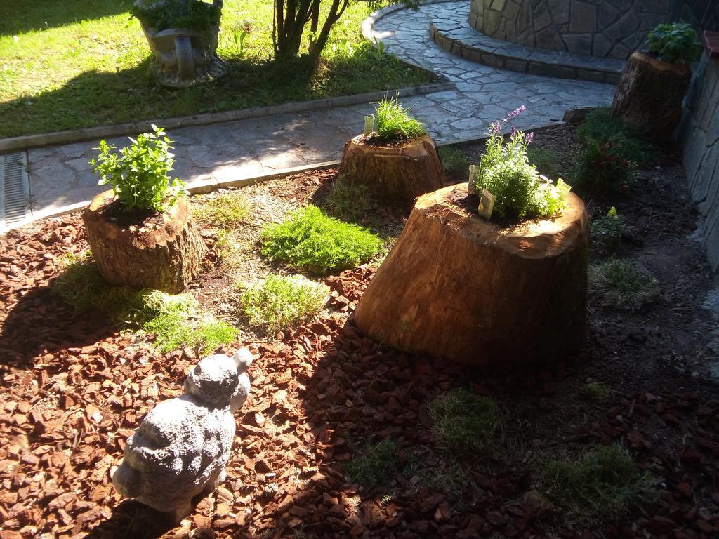 Apartma Relax Center Olimian *