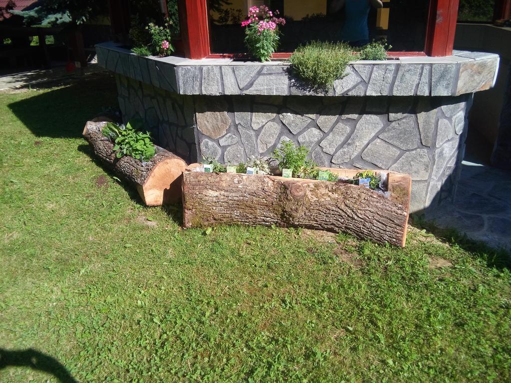 Apartma Relax Center Olimian